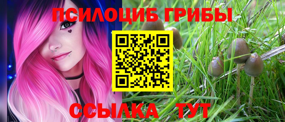 Галлюциногенные грибы GOLDEN TEACHER Электрогорск