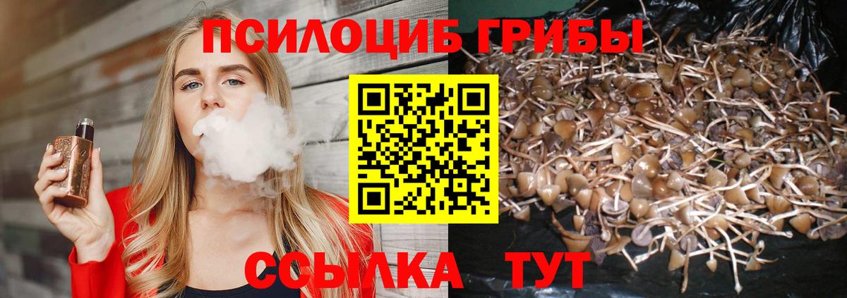 Галлюциногенные грибы MAGIC MUSHROOMS  Вход с VPN  Электрогорск 